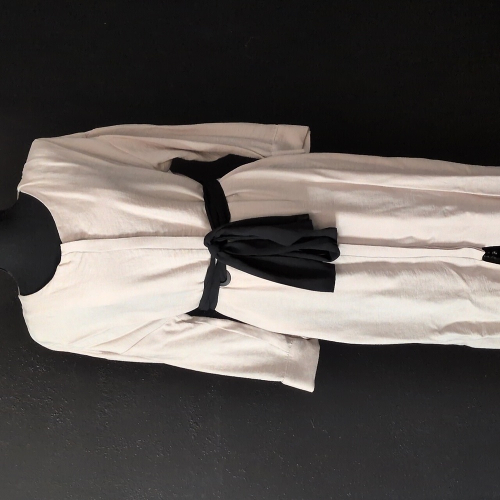Zara Basic Black and Cream Dress